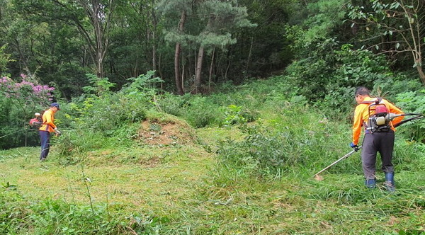 ▲벌집을 발견하면 무리하게 제거하려 하지 말고 안전한 곳으로 피한 후 119에 신고하세요