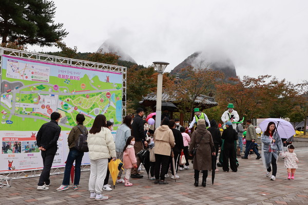 비가 와도 홍삼축제는 참을 수 없지! 9일 비가 오는 흐린 날씨에도 많은 관광객들이 홍삼축제장을 찾았다